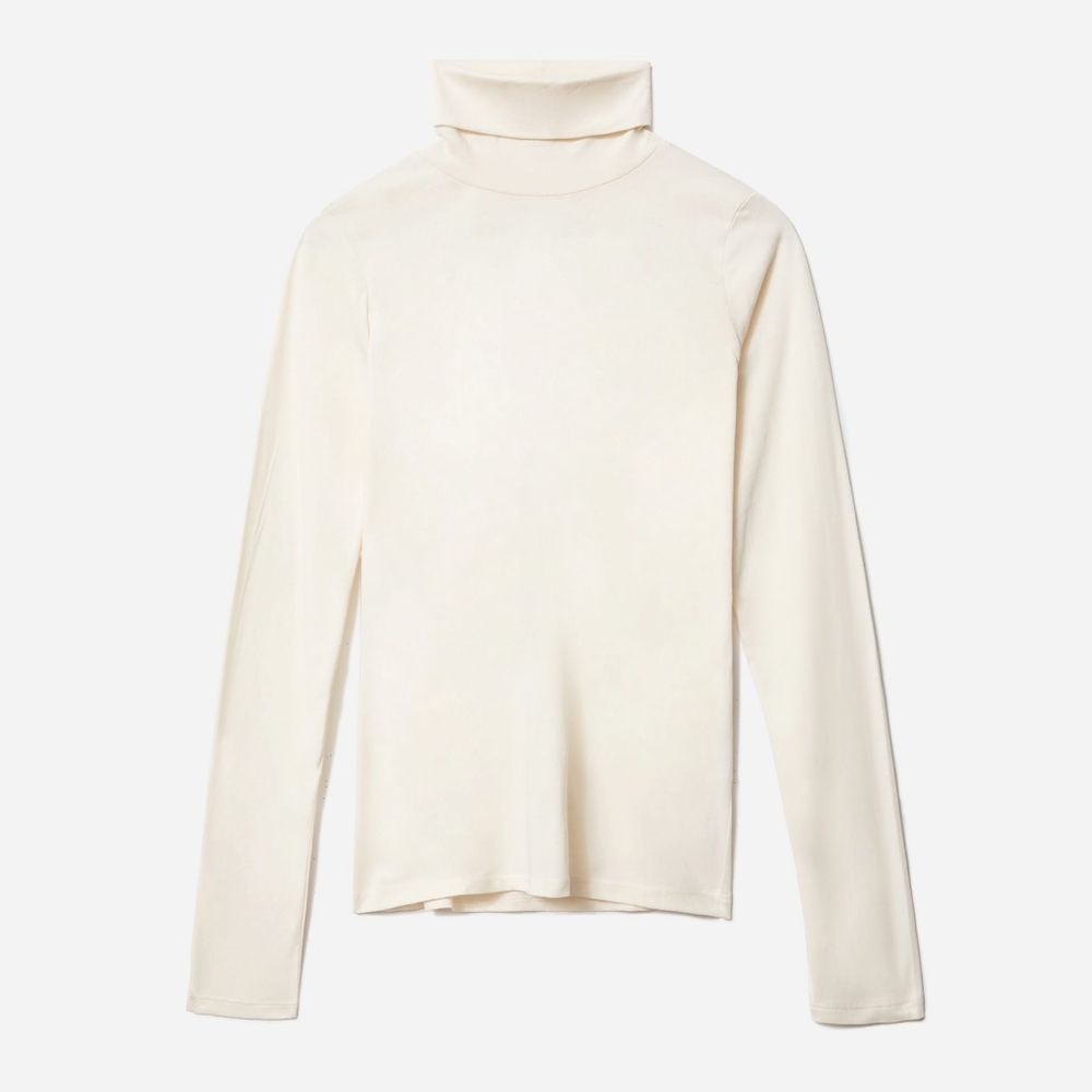 Everlane Organic Cotton Turtleneck